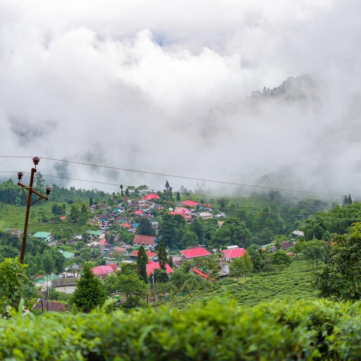 Entertainment zone at night in France